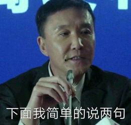 总书记表情包图,总书记表情包图背后的温暖瞬间
